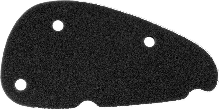 ELEMENT FILTRU AER APRIL. SR 50