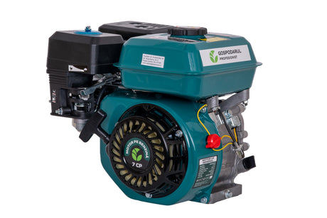 Motor uz general Gospodarul Profesionist GP-170F - benzina - 7 CP